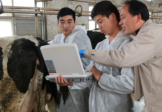 獸用B超,動物B超機,牛用B超機